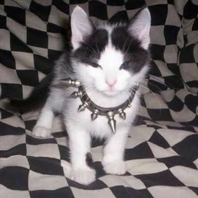 Dekapitadoz's profile picture. subo cosas que sentí hace tres años o hace dos minutos