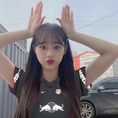 chuubraga Profile Picture