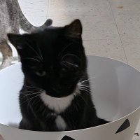 Animal lover ❤️ ♥️ 😍 💓 💖 💕🇨🇦🇨🇦 (@retrogirl44) 's Twitter Profile Photo