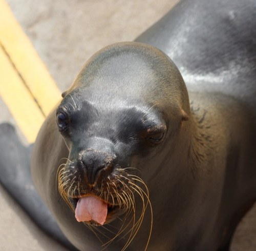 georgemammen's profile picture. 