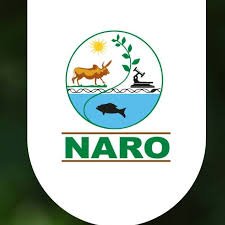 Buginyanya ZARDI is a semi-autonomous Public Agricultural Research Institute under the Policy guidance of the National Agricultural Research Organisation (NARO)