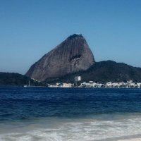Carlos Eduardo (@carlose78238911) 's Twitter Profile
