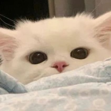 solo una chica q le gusta pasar la mitad de su dia en twt y la otra mitad durmiendo.