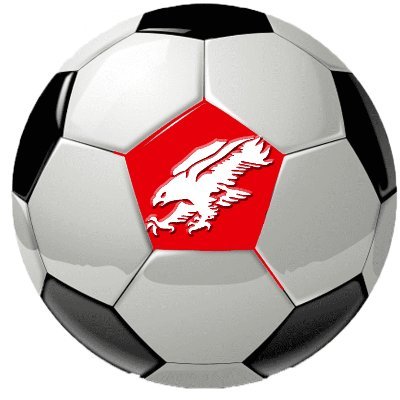 The official Twitter account of the Austintown Fitch Lady Falcons Soccer Team #FalconPride
