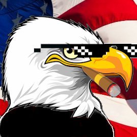 DD 🦅 🇺🇸