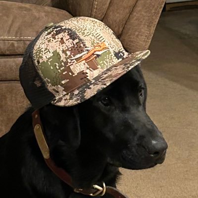 BagwellAngela's profile picture. Believer. Wife. Mother. Teacher.