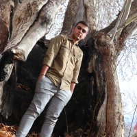 ABOLFAZL (@abolfal13857) 's Twitter Profile
