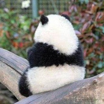 CsKuuq's profile picture. SIerマーケ（クラウド）←BPR系ITベンダDX推進（RPA）←（デジママケコン アシ）←医療01スタートアップSaaS CS/デジマ←宇宙関連情シス←メーカー人事＆PGコーダー。キカガク卒