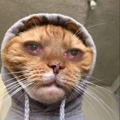 69_bogart45685's profile picture. WAGMI!

@_CloverDAO🍀
@solgodsdao 🔥
@DaOffice 🏢
DVG57F69