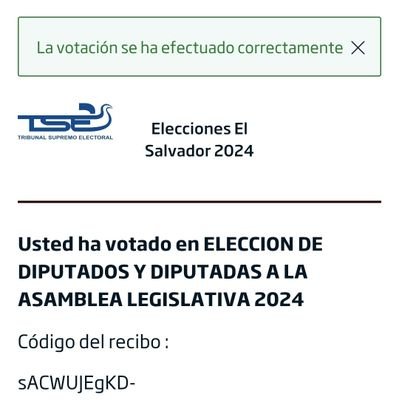 VOTA POR NAYIB BUKELE PRESIDENTE POR N. PARA DIPUTADOS