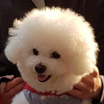 rose11608327433's profile picture. .