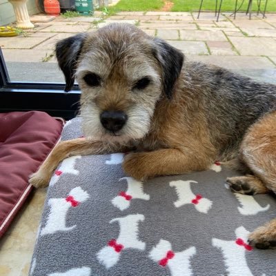 Former apprentice to legendary @stockton_rolo, fond Uncle of @bearstockton, columnist @sussexliving. Pre-loved, much loved BT and very proud member of BT Posse.