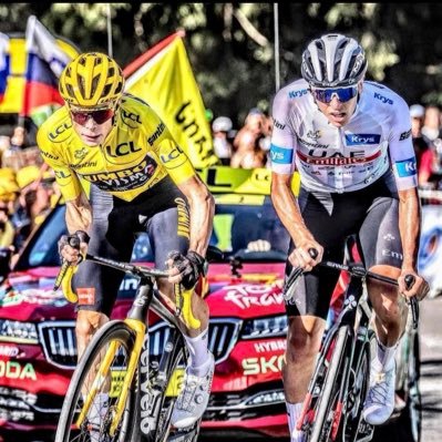 xingdzhu297689's profile picture. 