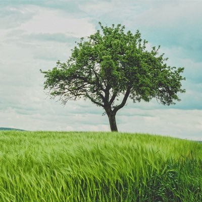 marcinogebala's profile picture. @X1_chain Validator | Everything is XEN