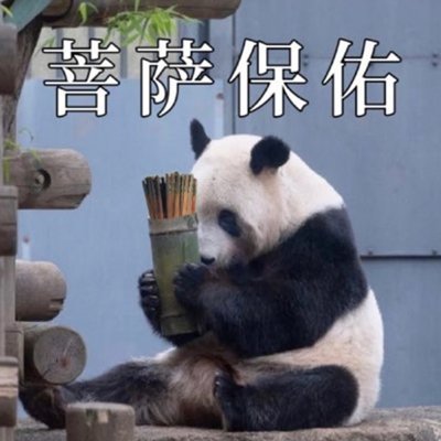 lovewxybest's profile picture. Hello，The Beautiful World！