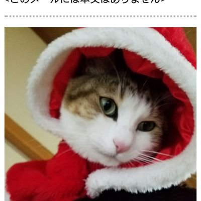 0QtfkpPZ8z97598's profile picture. 競馬🐎お酒🍺大好きです