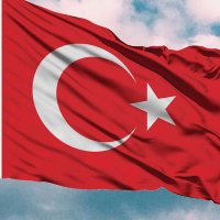 Emekli Sendikacı (@emeklisendikaci) 's Twitter Profile Photo