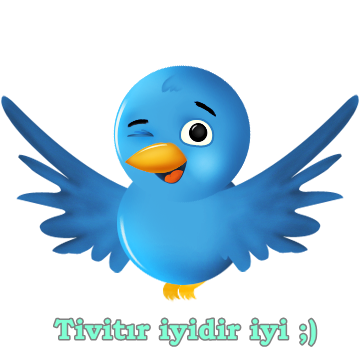 tivittriyidir's profile picture. fallowla beni fallowlayim seni   safdsaesxasxcaasdeadse