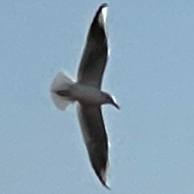 feng082614's profile picture. 