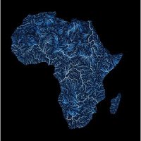 African DNA(@AfricanDNA0) 's Twitter Profileg