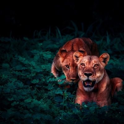 Avinash72728782's profile picture. 