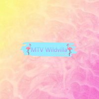 wildvilla(@mtvwildvilla) 's Twitter Profile Photo