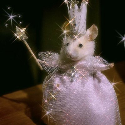 newkuko's profile picture. 덕질할 시간은 만들어 내는것..😳