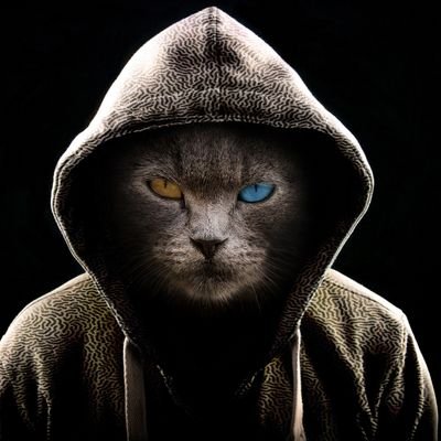 RaymondKal76498's profile picture. samurai mind☣️