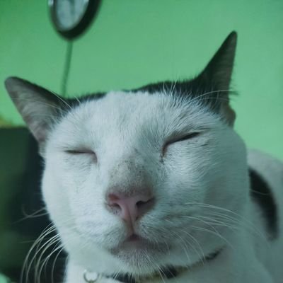 Ronn984821685's profile picture. Tech Enthusiast. Opinionated, but open-minded.