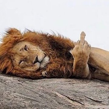 MONGOLIA873's profile picture. Болохгүй бол блоколчих