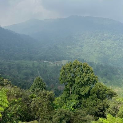 dpdnuhlv's profile picture. 