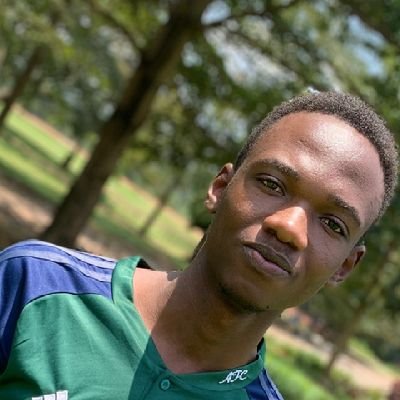 Civil engineer and General contractor @ Ecobuild ug || Innovative construction and sustainability||Football fan.