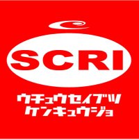 SCRI 宇宙生物研究所 (@kingnoobee) 's Twitter Profile