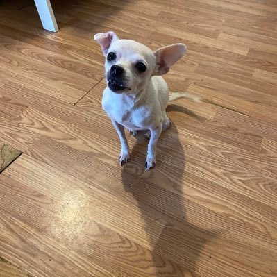 CGulgowski22407's profile picture. A wise man learns by the mistakes of others, a fool by his own.