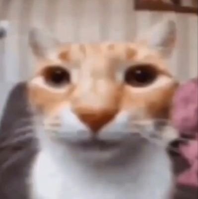 chxse_e's profile picture. ส่องแล้วหันหลังมาให้อ้ายเดี๋ยวนี้