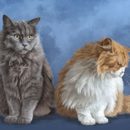 dpicallo's profile picture. Nació y vivió