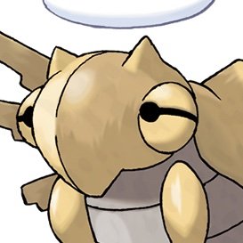 15, He/Him, Autistic Pokémon Enthusiast, HUGE fan of Shedinja!