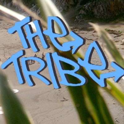 thetribeseries Profile Picture