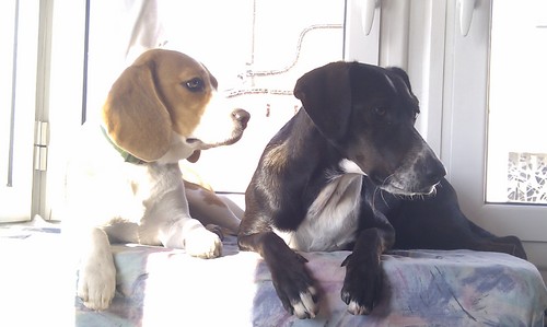 storingmaysoul's profile picture. ... I'm gonna have to run away, I'm sure that I belong some other place...