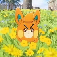 Pawmi Donka (@pawmidonka) 's Twitter Profile