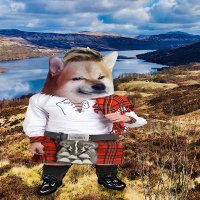 🏴Puffy Flumpkin🏴 #NAFO🔥 (@puffyflumpkin) 's Twitter Profile