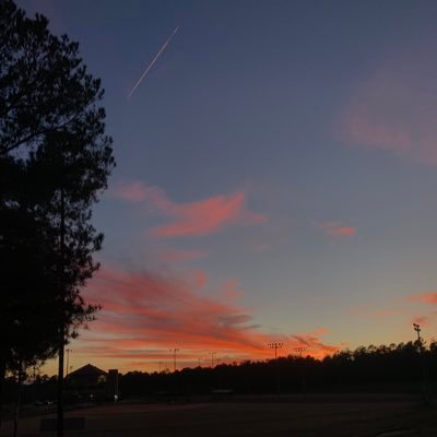 iirisalexandra's profile picture. she/her