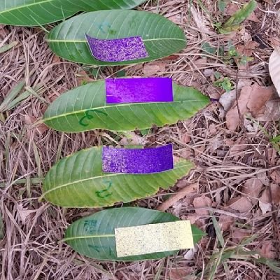 Ing. Agr. 20 años trabajando con agroquimicos. Profesor. Me gustaria tener mas tiempo para atender a varios pseudo cientificos de Twitter.....