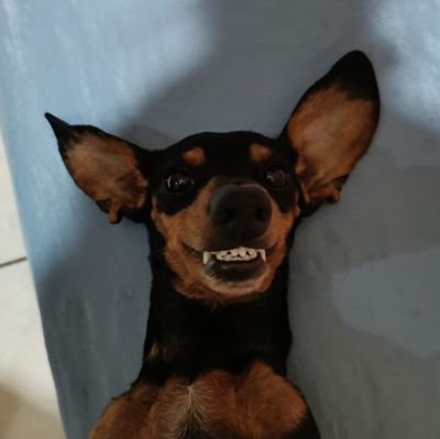 nogsilvaa's profile picture. geo/uerj - ffp 🌎🌍🌏