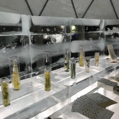 sudahkenyangya's profile picture. 