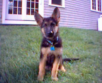 exeter_kun's profile picture. 