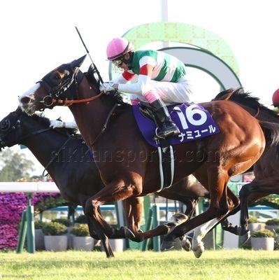 投資宣伝はお断‼️
競馬、1口馬主(27年目)、散歩、温泉、国内旅行、お寿司、蕎麦が好き！  (G党)

主な出資馬、ハープスター、サリオス、トゥザグローリー、シャイニングレイ、センテリュオ、レッドスパーダ、レッドデイヴィス、レッドアリオン、イタリアンレッド、リアルヴィジョン、ナミュール、ラヴェル