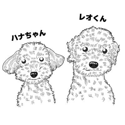 兄11歳、妹10歳のシニア犬🐾実兄妹🐾病院通いは妹1回のみ🐾餌とオヤツに拘ってます🐾 YouTube→ https://t.co/PKERszwoFD  🐾レオ2012年8月23日 ハナ2013年11月11日 ポッキーの日