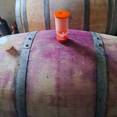 VikingDrinks's profile picture. Viking Irish Real Cider/Wine/Pet-Nat's/ Liqueur's.Produced & Bottle in East Waterford, https://t.co/8MJBIdmB80 David Dennison WSET DIP http://www.vikingirishdrin