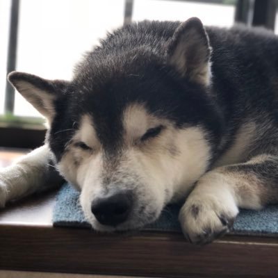 roy06299's profile picture. 